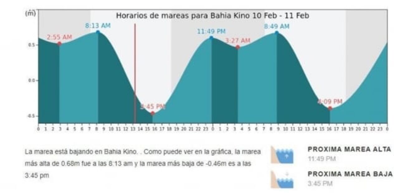Mar se aleja varios metros de la playa de Bahía de Kino en Sonora