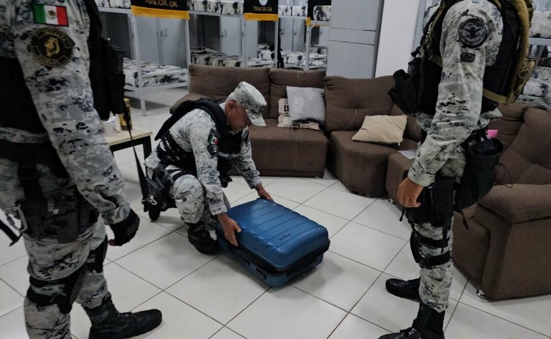 Las fuentes oficiales destacaron que su detección, aseguramiento y puesta a disposición fue producto de una investigación interna de la propia GN. Foto: Especial