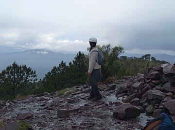 Desaparición de Ana Ameli; lo que se sabe del caso y su última foto con un grupo desconocido
