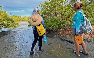 Guardianas del Conchalito, al rescate del manglar