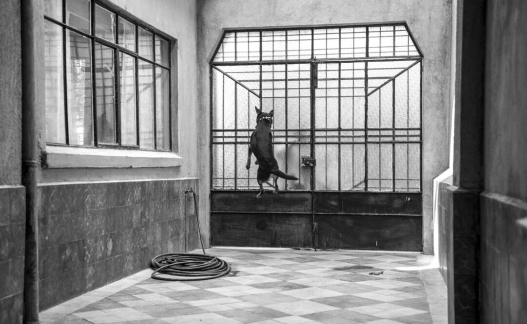 “We had a lot of fun making the song, because we all agreed that ‘El Borras’ was the funniest character in the movie,” told the percussionist Enrique Casasola - Photo: Taken from Alfonso Cuarón's official Twitter page