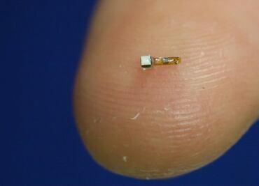 ¿Te implantarías un chip en el cerebro? Neuroprótesis que superan a la ciencia ficción