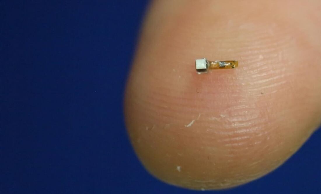 Los neurogranos son chips del tamaño de un grano de sal que se implantan en el cerebro; podrían ser clave para personas postradas recuperen el control de su cuerp. Crédito: Universidad de Berkeley