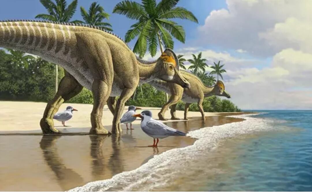 Foto: RAUL MARTIN vía Europa Press