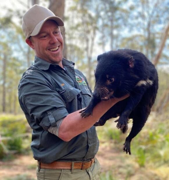 A 3 mil años de su desaparición, nacen varios demonios de Tasmania en Australia