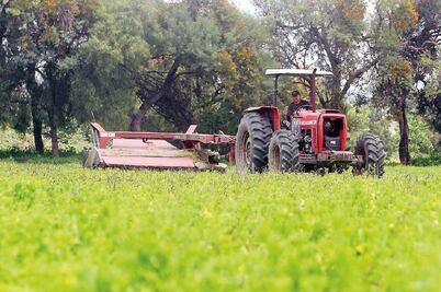 Irregularidades en Sagarpa, de 43 mdp