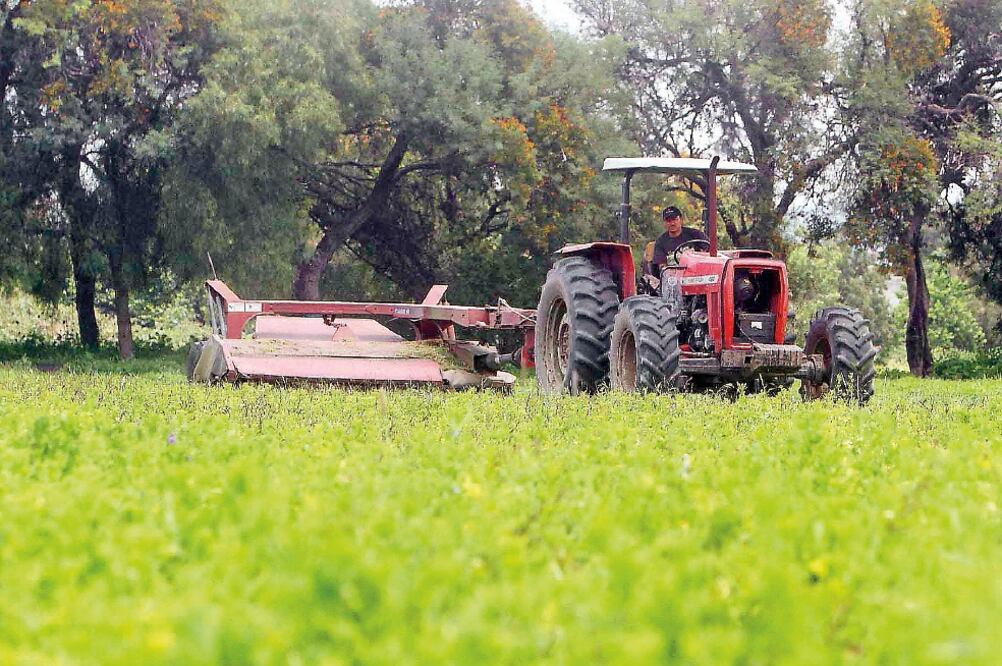 La Sagarpa ejerció en 2016 más de mil millones de pesos en apoyos para maquinaria del campo. (ARCHIVO EL UNIVERSAL)
