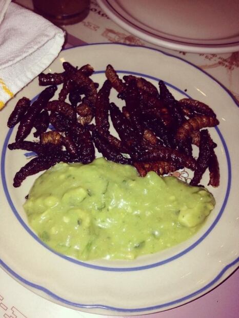 Lugares para comer bichos en CDMX