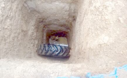 Rescatan a perro tras pasar 8 días dentro de un pozo en Zacatecas