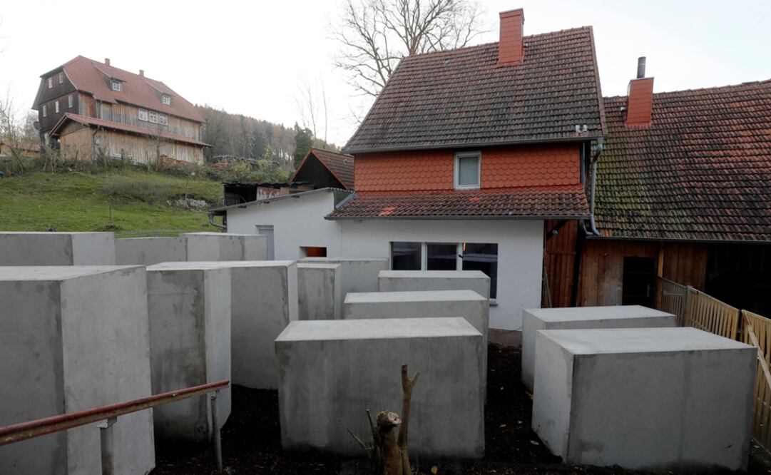 Foto: EFE / Ronald Wittek