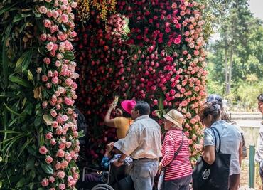 9 cosas que hacer y ver en el FYJA en CDMX