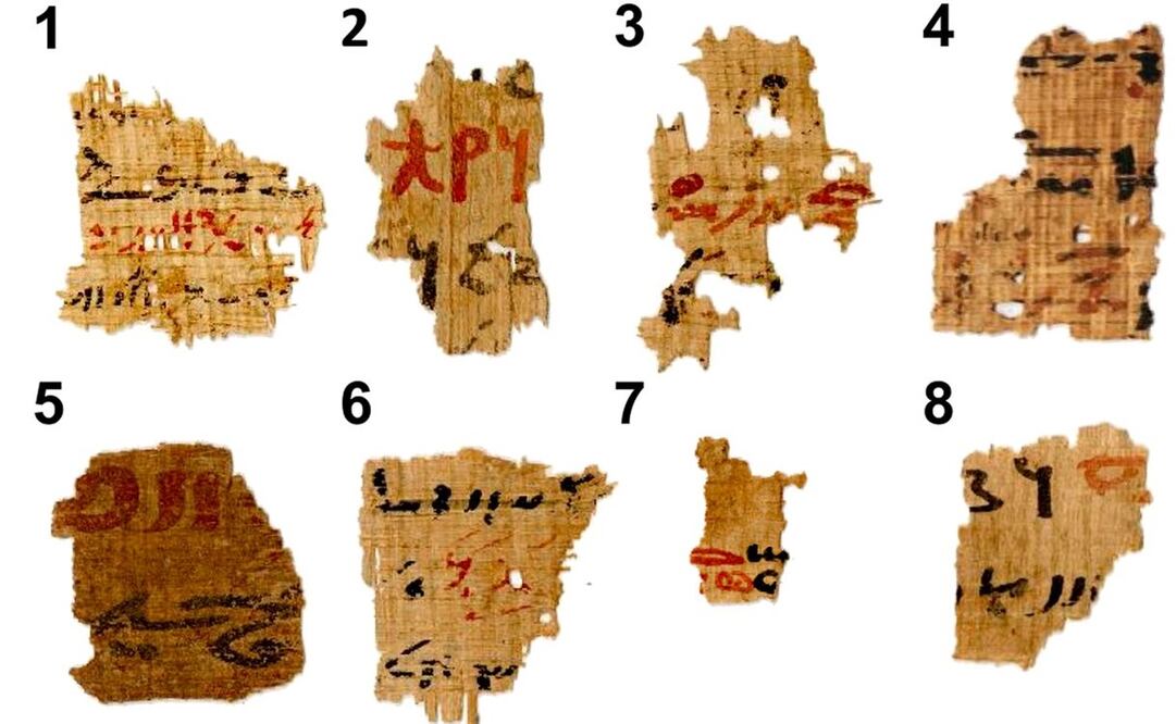 Ocho de las 12 muestras de papiros de la biblioteca del templo de Tebtunis que fueron usados en la investigación. Imagen: Thomas Christiansen, Marine Cotte, Wout de Nolf, et al.
