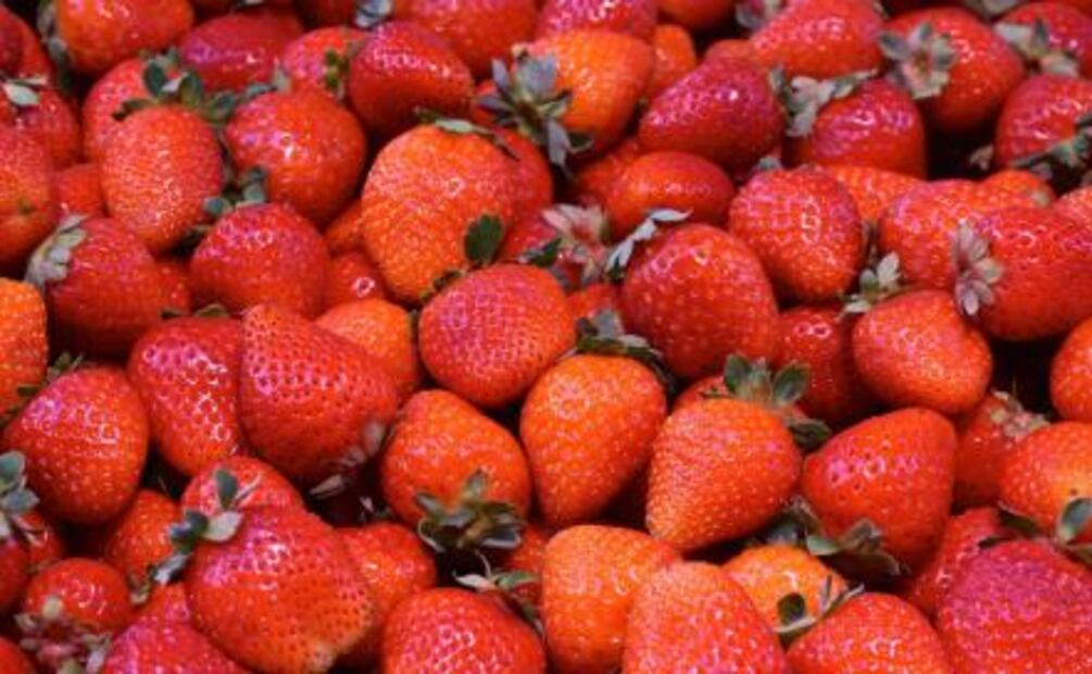 ¿Cómo elegir frutas y verduras adecuadamente?