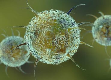 Detectan la variante "deltacron" en Chipre, una combinación de ómicron y delta