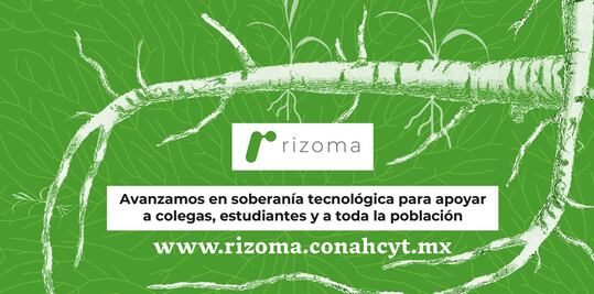 Fallas en la plataforma Rizoma del Conahcyt podría afectar carrera de científicos