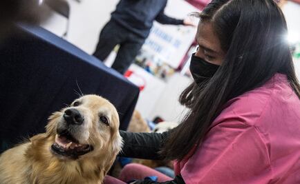 Purina y CENATAC inauguran segunda unidad canina de intervención a nivel hospitalario en México