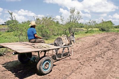 Ven impacto de la reforma energética para el campo