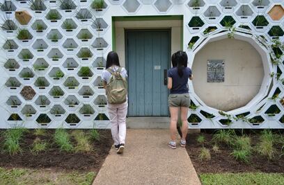 Casas con piel verde