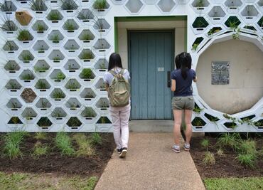 Casas con piel verde