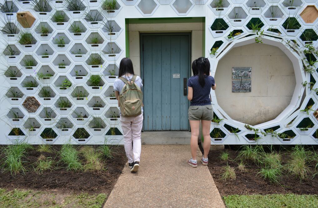 "Pared viviente"  que ofrece diversos hábitats para aves, abejas, lagartijas y otras especies