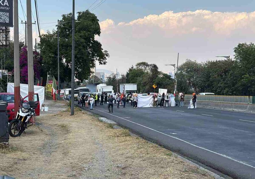 Alrededor de 60 manifestantes tomaron la carretera con el objetivo de exigir al gobierno capitalino la restitución de los animales que fueron retirados del refugio. Foto: Especial