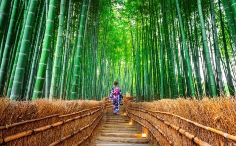 9 cosas que hacer en Kioto