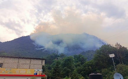 Rayo provoca incendio forestal en Veracruz; reportan 15% de liquidación de las llamas