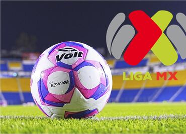 Liga MX: Horarios y canales para ver EN VIVO la jornada 14 del Apertura 2025