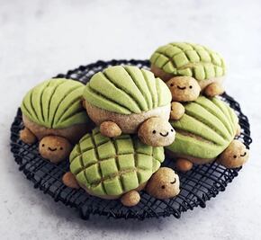 Las conchas en forma de tortuga que robarán tu corazón