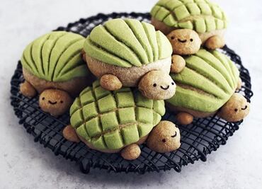 Las conchas en forma de tortuga que robarán tu corazón