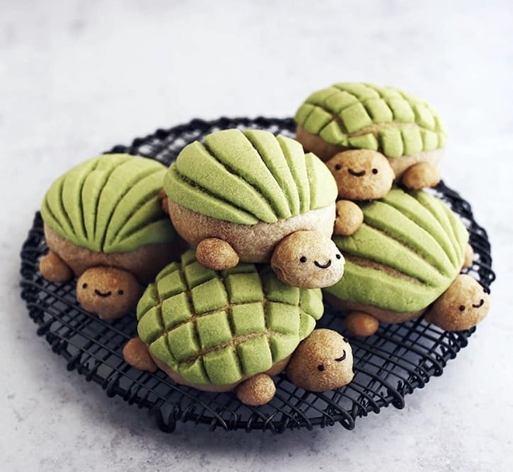 Crea tus propias conchas de tortuga / Foto: Instagram Samantha Chiu
