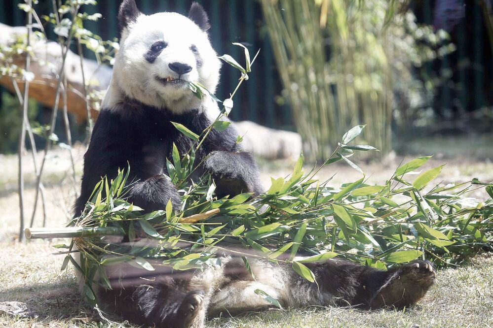 ARCHIVO / EL UNIVERSAL