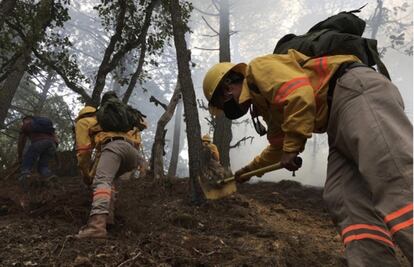 Declaran emergencia en 5 municipios de Oaxaca por incendios forestales