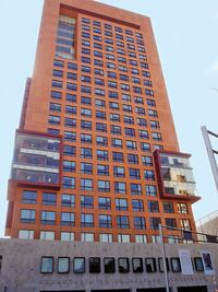 Diputados juegan rol fundamental en política exterior: PRI