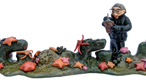 Quién fue Irene Bernasconi, la bióloga argentina a la que Google rinde homenaje