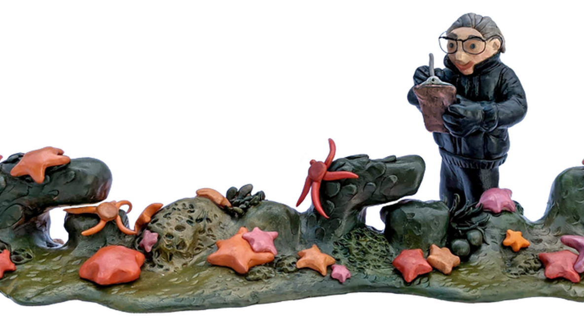 La argentina dedicó su vida a investigar las estrellas de mar e indentificó varias especies nuevas. Foto: Google