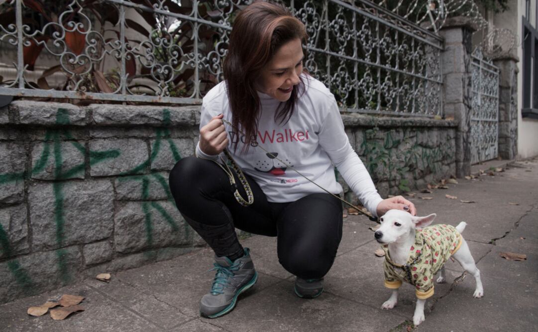 Algunos dueños de mascotas desisten de sus planes de vacacionar porque no tienen dónde dejarlas. Foto: Cortesía