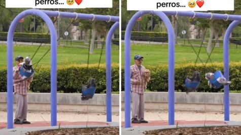 Lomitos provocan lágrimas en la red al disfrutar los juegos en el parque con su "abuelito"