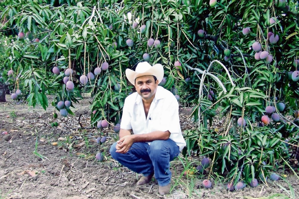 Hilario Ramírez Villanueva, empresario y dueño de una empacadora de mango, asumió la presidencia municipal de San Blas arropado por el PAN; sin embargo, tras ser criticado por su mal manejo de recursos, el partido se deslindó de el (ARCHIVO EL UNIVERSAL)