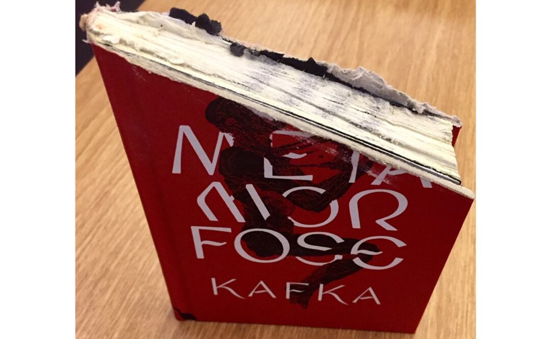 Foto: Twitter @LivdaVinci