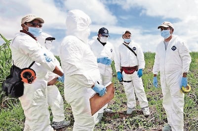 Hallan en este gobierno 100 fosas clandestinas