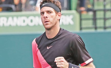 Del Potro continúa enrachado