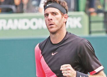 Del Potro continúa enrachado