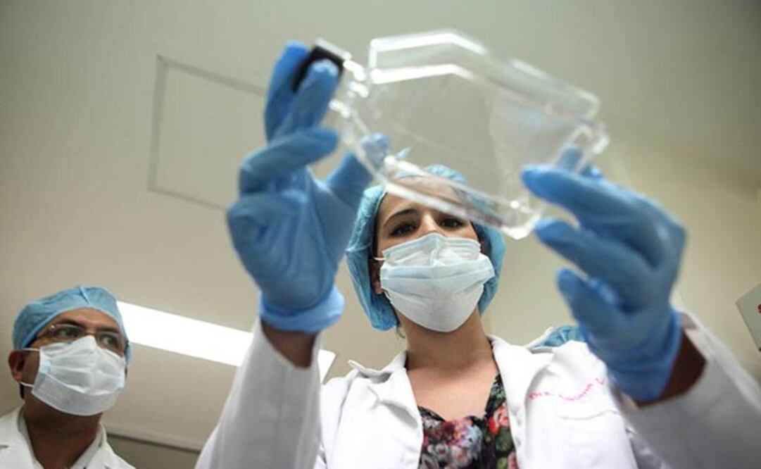 OMS busca subrayar la difusión de los tópicos relacionados con la hepatitis C. Foto: Archivo