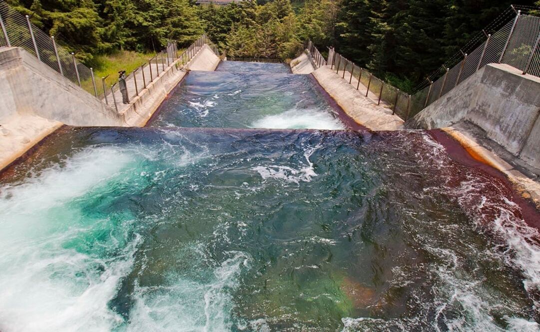 (Foto: Archivo/El Universal) 