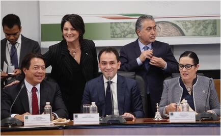 Recesiones son parte de la naturaleza de la economía, dice Herrera a diputados