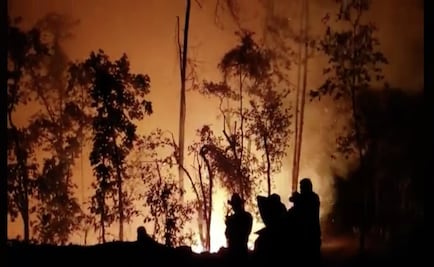 Sube a 8 el número de muertos por incendios forestales en Oaxaca