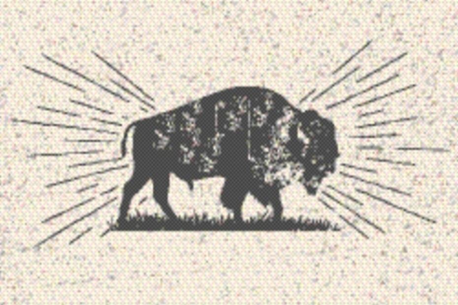 El Foco. Ven a disfrutar del menú fifí del Conacyt