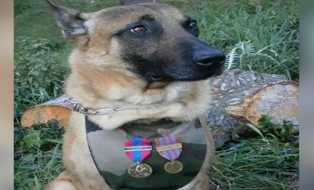 (Foto: Archivo/El Universal)