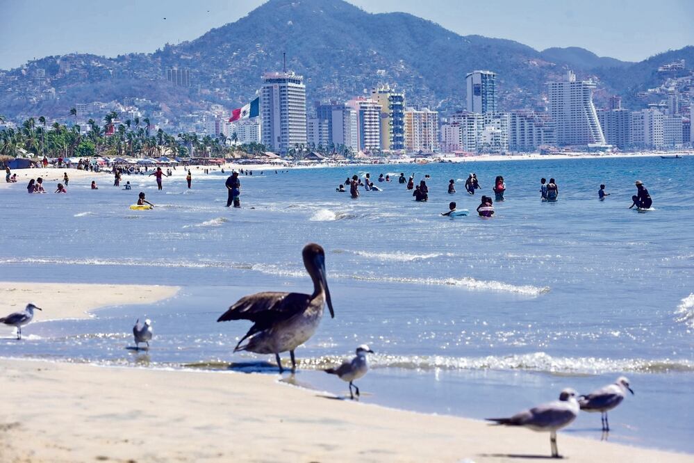 Las autoridades turísticas de Guerrero prometieron más de ocho mil habitaciones de hoteles disponibles, que se suman a nueve mil apartamentos, casas y habitaciones de plataformas digitales. Foto: Cuartoscuro